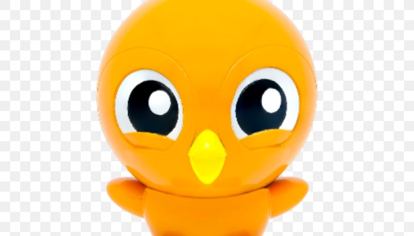 Bird Parrot Duck Beak Infant, PNG, 1024x585px, Bird, Beak, Close Up, Duck, Infant Download Free