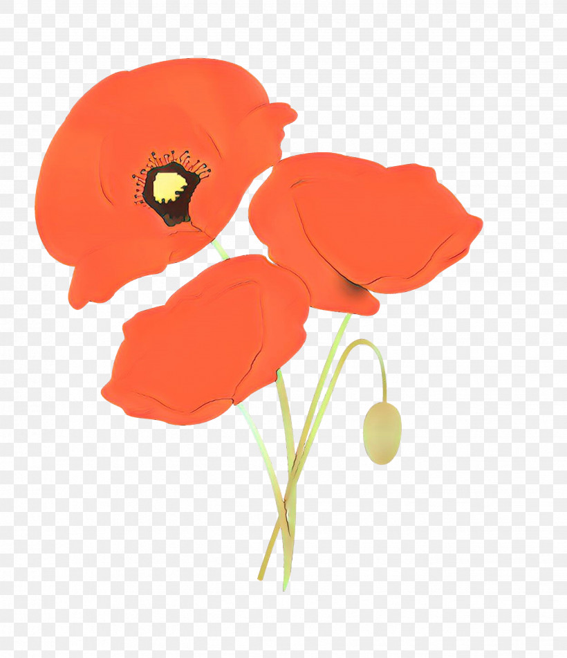 Flower Coquelicot Red Poppy Plant, PNG, 2653x3079px, Flower, Anemone, Coquelicot, Corn Poppy, Cut Flowers Download Free