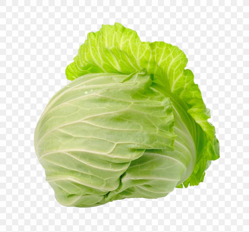 Savoy Cabbage Photography, PNG, 1000x930px, Savoy Cabbage, Brassica Oleracea, Cabbage, Food, Green Download Free