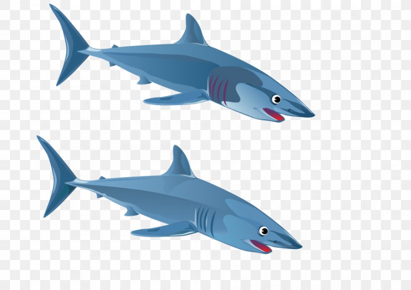 Great White Shark Clip Art, PNG, 900x637px, Shark, Blue Shark, Cartilaginous Fish, Fauna, Fin Download Free