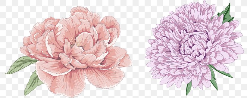 Moutan Peony Download, PNG, 800x326px, Peony, Artificial Flower, Chrysanths, Cut Flowers, Floral Design Download Free
