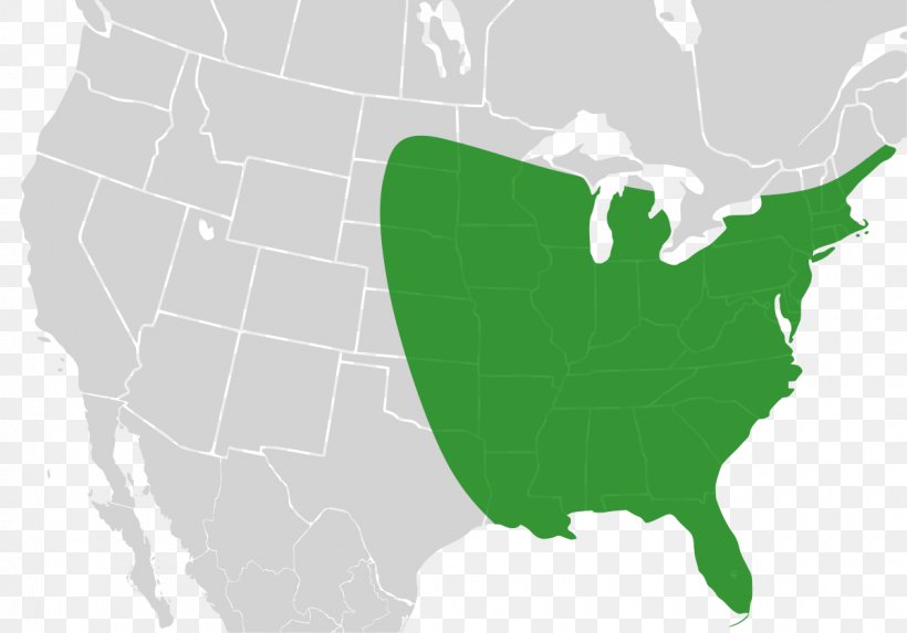 United States Of America U.S. State Map Illustration Vector Graphics, PNG, 1200x839px, United States Of America, Blank Map, Cartogram, Grass, Green Download Free