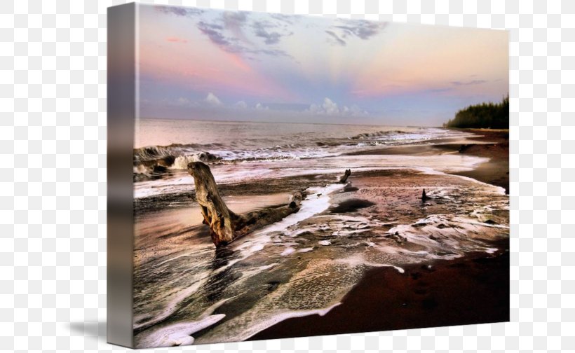 Driftwood Stock Photography Sky Plc, PNG, 650x504px, Driftwood, Coast, Inlet, Landscape, Photography Download Free