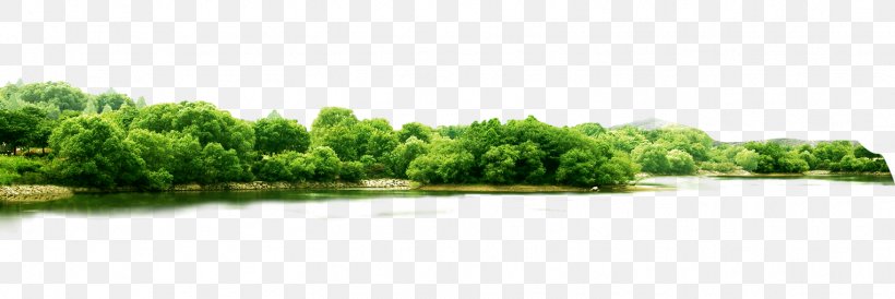Landscape Greening, PNG, 1526x510px, Landscape, Brand, Cottonwood, Google Images, Grass Download Free