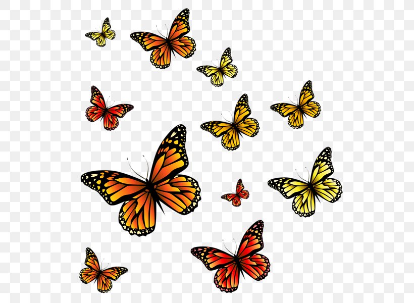 Monarch Butterfly Insect Clip Art, PNG, 552x600px, Butterfly, Brush Footed Butterfly, Butterflies And Moths, Digital Image, Insect Download Free