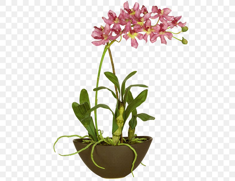 Orchids Design Image Plants, PNG, 500x633px, Orchids, Cattleya, Cut Flowers, Dendrobium, Designer Download Free