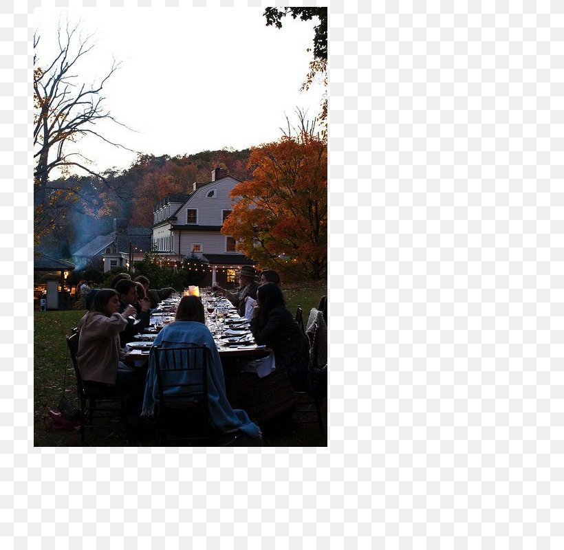 Dinner Autumn Eating Coffee Food, PNG, 800x800px, Dinner, Autumn, Coffee, Drink, Eating Download Free