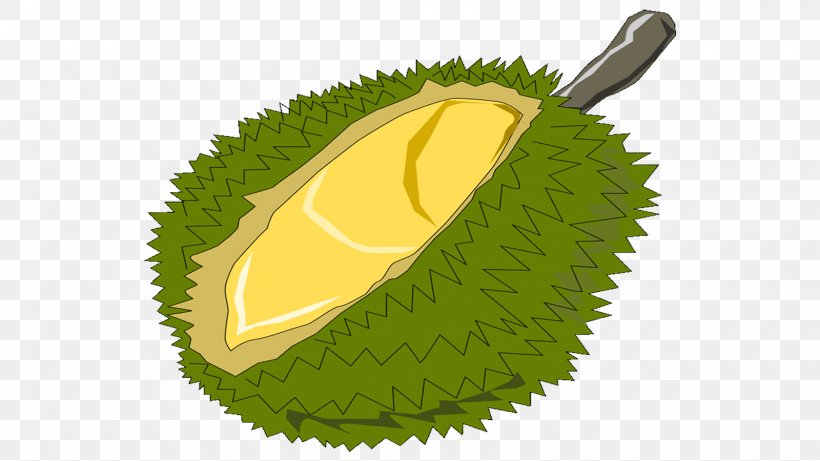 Durio Zibethinus Clip Art Durian Pancake Thai Cuisine Image, PNG, 1600x900px, Durio Zibethinus, Drawing, Durian, Durian Pancake, Food Download Free