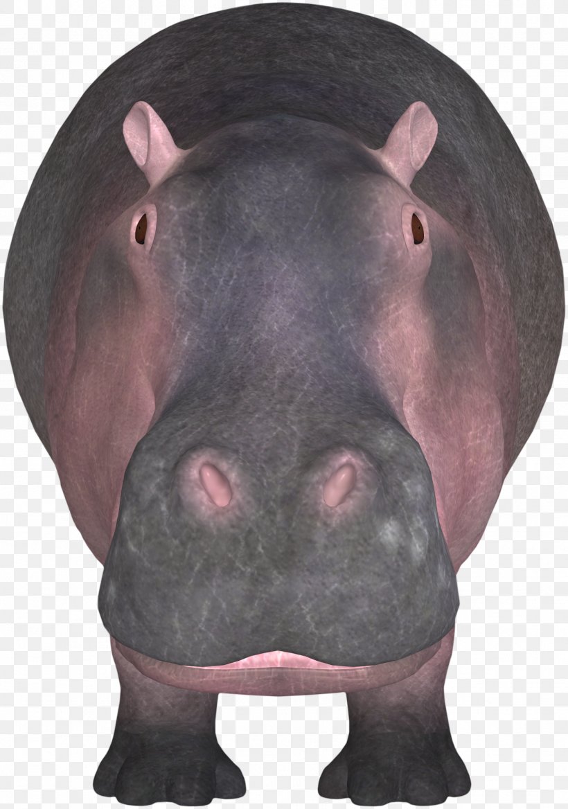 Hippopotamus Icon, PNG, 1352x1927px, Hippopotamus, Animal, Chemical Element, Domestic Pig, Fauna Download Free