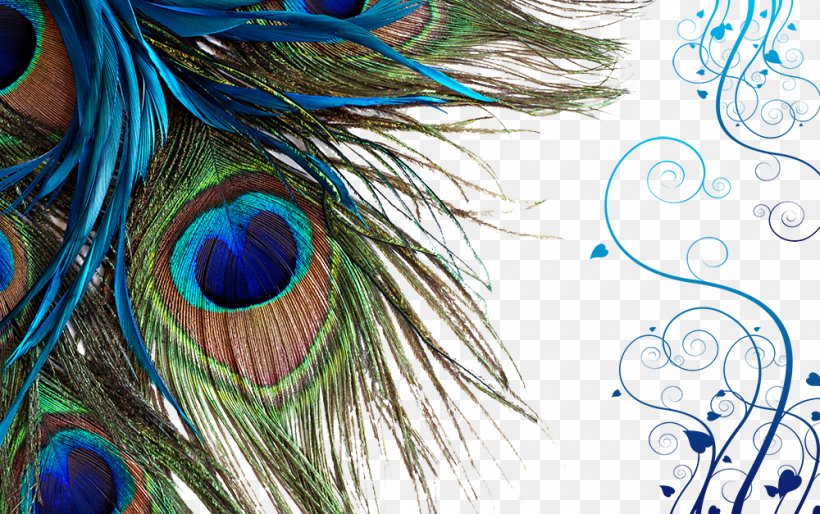 Peacock Feather, PNG, 1000x627px, Towel, Art, Bed Sheets, Bed Size, Bedding Download Free