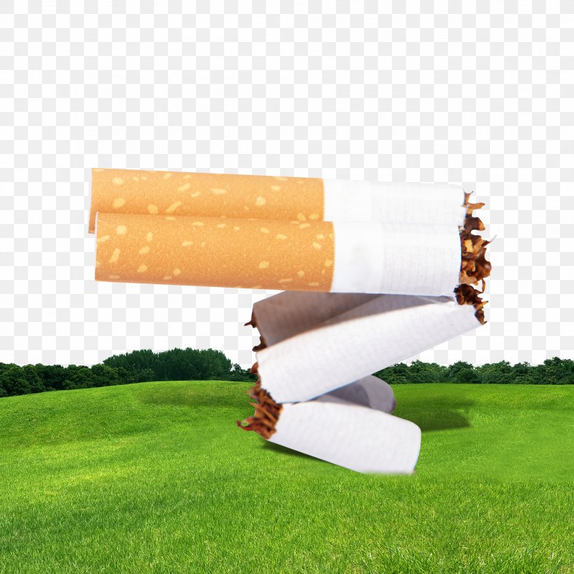 Poster Smoking Banner, PNG, 1984x1984px, Poster, Advertising, Aircraft, Ban, Banner Download Free