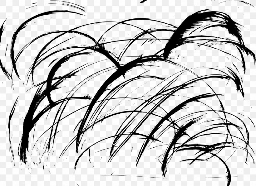 Visual Arts Drawing Grunge, PNG, 3000x2185px, Art, Artwork, Black And White, Branch, Drawing Download Free