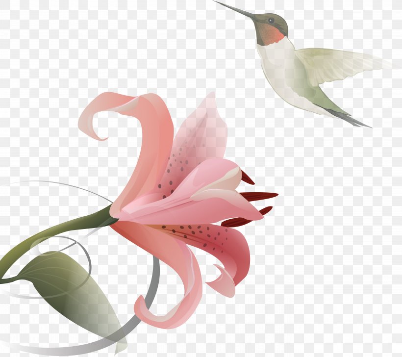 Hummingbird Lilium Flower Clip Art, PNG, 5586x4960px, Hummingbird, Beak, Bird, Coreldraw, Flower Download Free