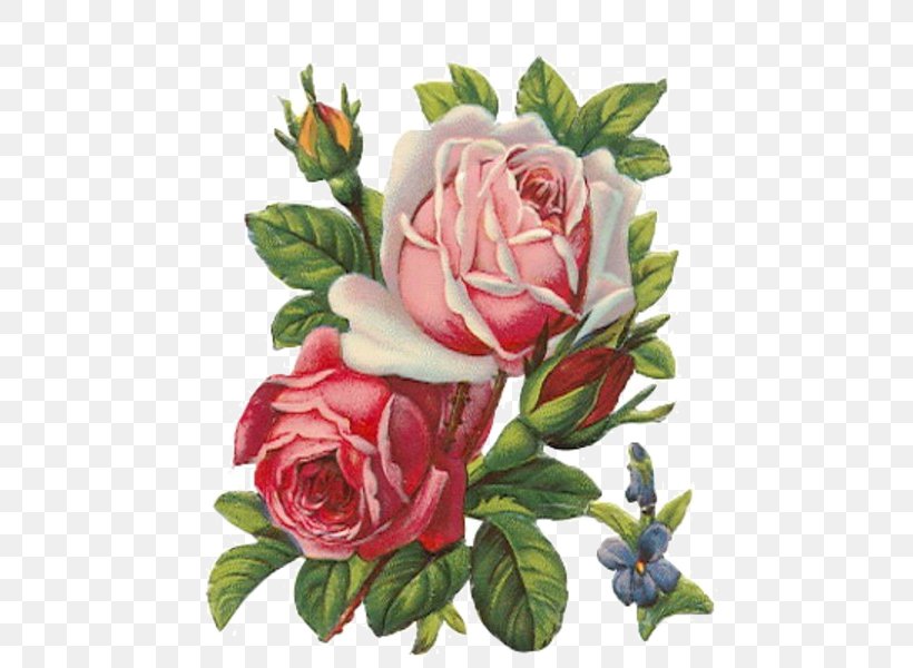 Rose Apron Vintage Clothing Clip Art, PNG, 600x600px, Rose, Apron, Artificial Flower, Cut Flowers, Floral Design Download Free