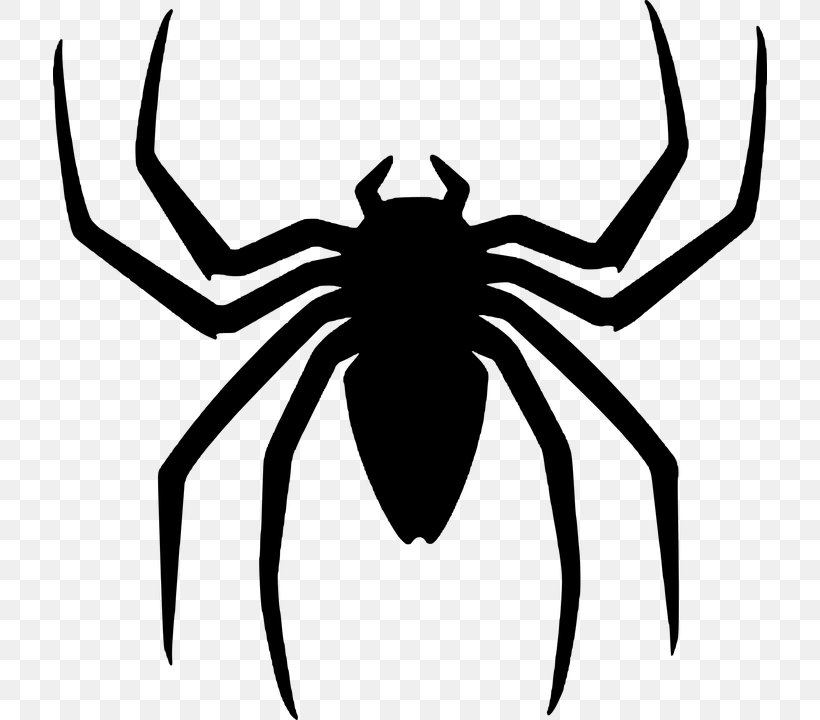 Spider-Man Halloween Clip Art, PNG, 714x720px, Spider, Arachnid, Artwork, Australian Funnelweb Spider, Black And White Download Free