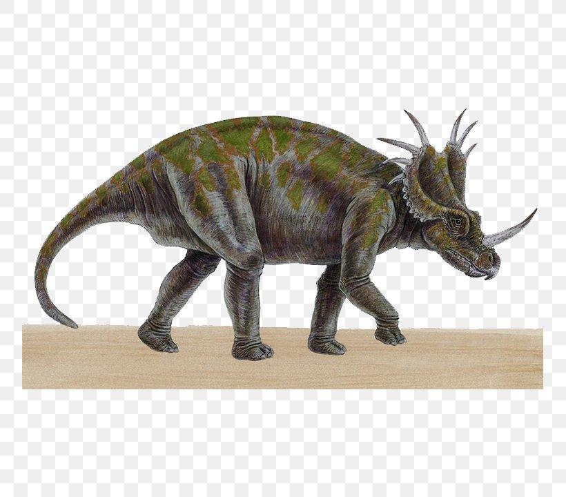 Triceratops Carnotaurus Styracosaurus Reptile Tyrannosaurus Rex, PNG, 790x720px, Triceratops, Allosaurus, Baryonyx, Carnivore, Carnotaurus Download Free