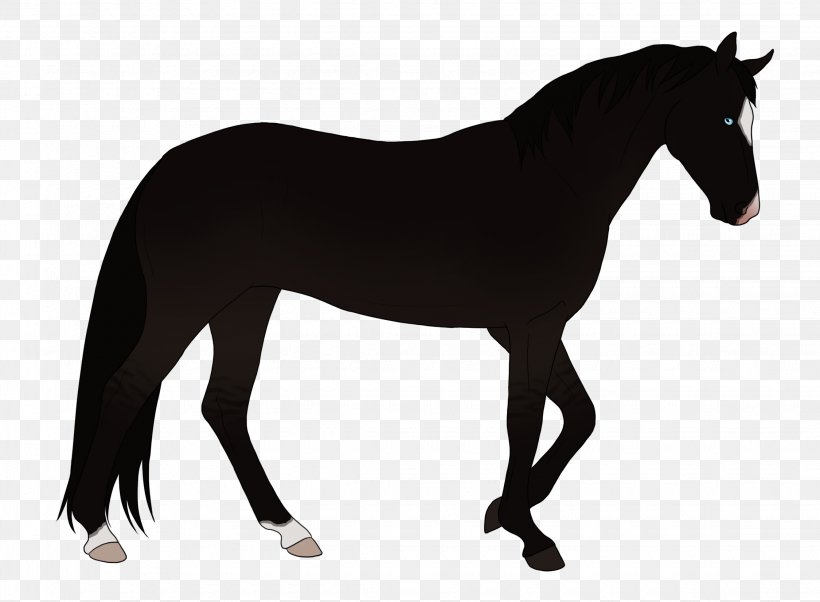 American Quarter Horse Stallion Friesian Horse Black Clip Art, PNG, 2250x1654px, American Quarter Horse, Animal Figure, Black, Bridle, Colt Download Free
