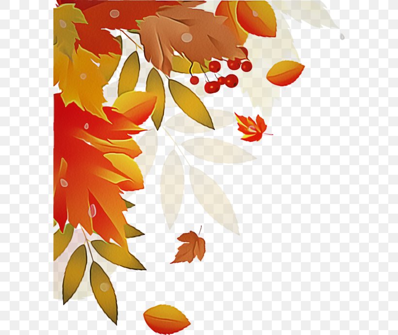 Orange, PNG, 600x690px, Leaf, Autumn, Flower, Orange, Plant Download Free