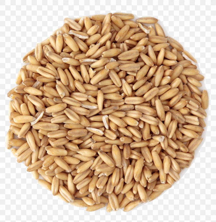 Organic Food Cereal Grain Groat, PNG, 1019x1052px, Organic Food, Avena, Betaglucan, Bread, Cereal Download Free
