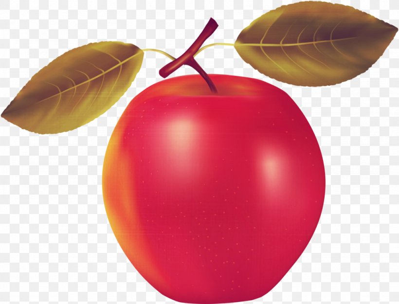 Apple Fruit Clip Art, PNG, 1024x781px, Apple, Auglis, Food, Fruit, Macintosh Operating Systems Download Free