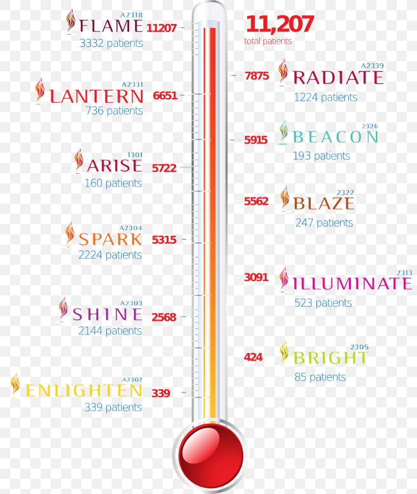 Line Font, PNG, 800x970px, Text, Diagram Download Free