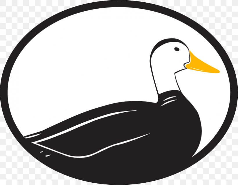 Odd Duck Media Clip Art Graphic Design Logo Marketing, PNG, 823x642px, Watercolor, Cartoon, Flower, Frame, Heart Download Free