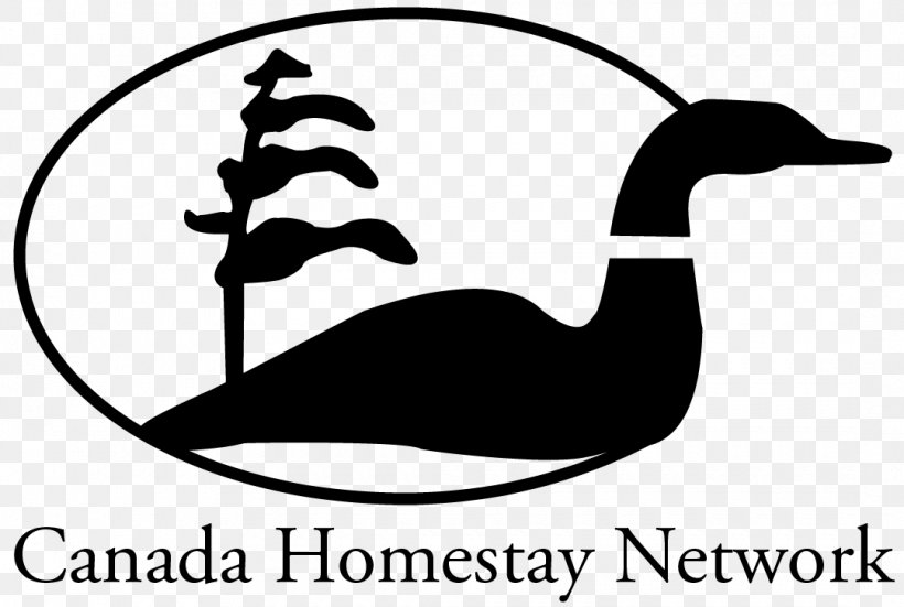 Canada Homestay Network International Student Lambton Kent District School Board, PNG, 1080x726px, Homestay, Artwork, Beak, Bird, Black And White Download Free
