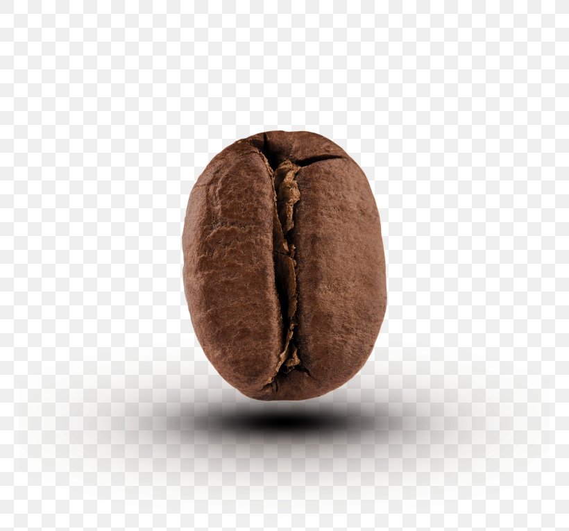 Coffee Bean Cafe Cocoa Bean Food Grain, PNG, 765x765px, Coffee, Cacao Tree, Cafe, Chocolate, Chocolate Truffle Download Free