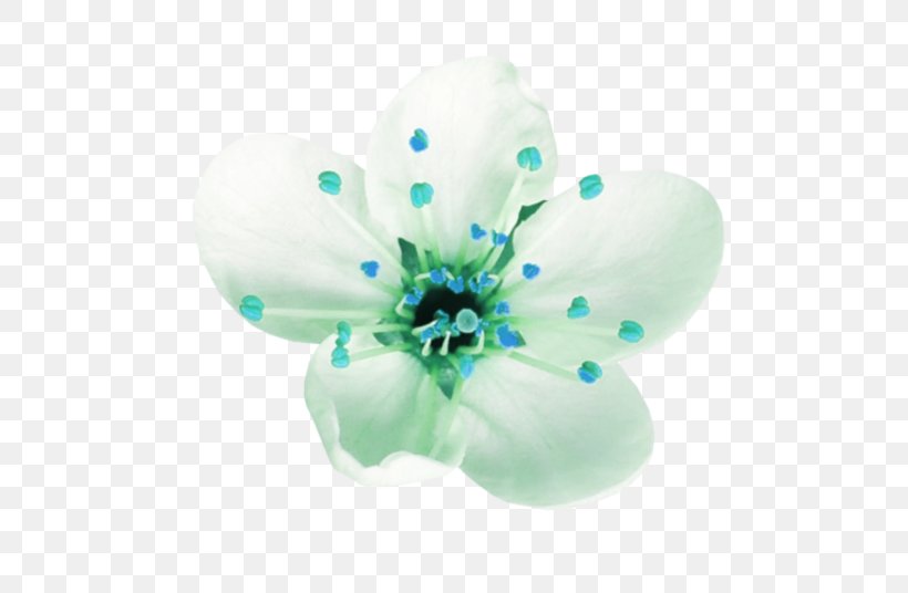 Flower Petal Blume, PNG, 536x536px, Flower, Aqua, Blume, Petal, Turquoise Download Free