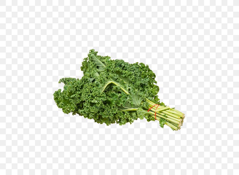 Kale Collard Greens Clip Art, PNG, 600x600px, Kale, Broccoli, Brussels Sprout, Chard, Collard Greens Download Free