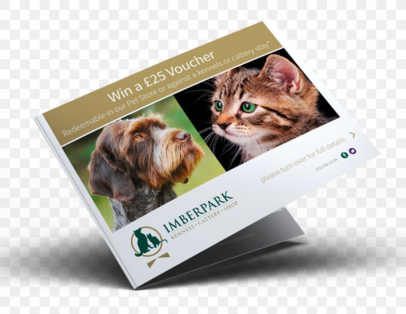 Kitten Multimedia Brand, PNG, 991x768px, Kitten, Box, Brand, Cat, Cat Like Mammal Download Free
