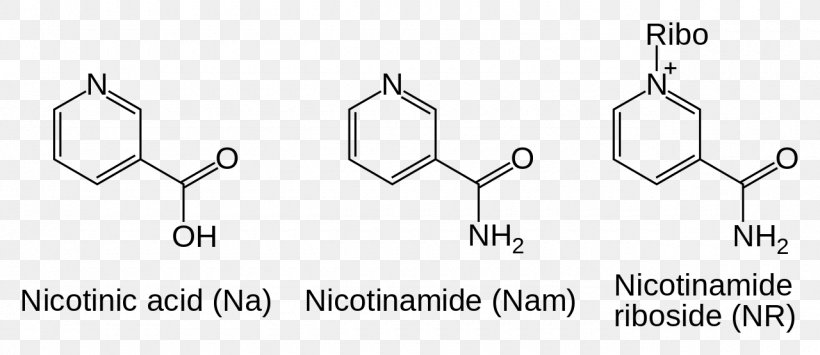 Nicotinamide Adenine Dinucleotide Nicotinamide Riboside Coenzyme, PNG, 1280x555px, Nicotinamide Adenine Dinucleotide, Adenine, Area, Auto Part, Black And White Download Free