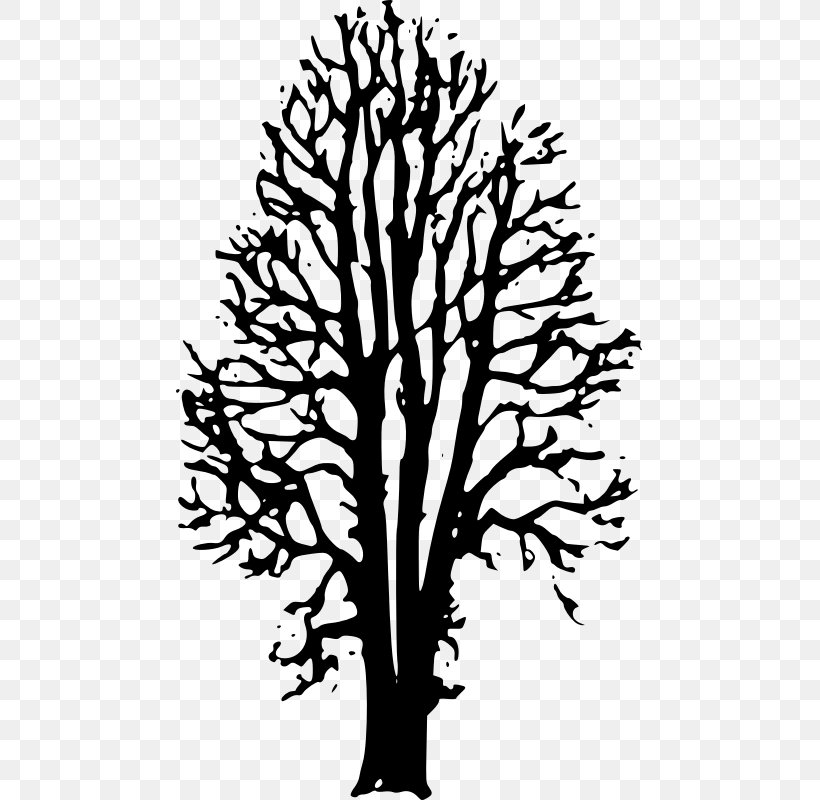 Twig The Country Beyond The Forests Ophelia: Afterworld Book One Drawing Clip Art, PNG, 467x800px, Twig, Art, Beech, Black And White, Book Download Free