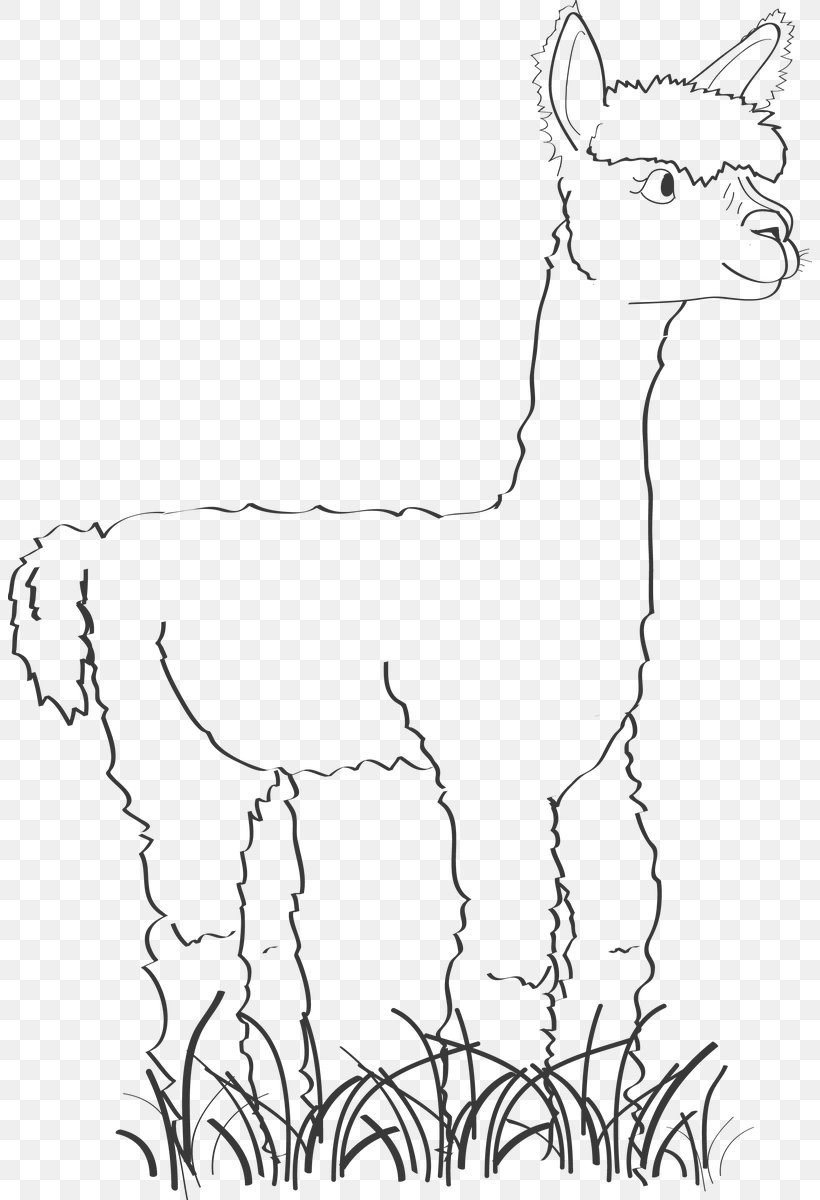 Alpaca Llama Drawing Line Art, PNG, 804x1200px, Alpaca, Animal Figure, Beak, Black And White, Camel Download Free