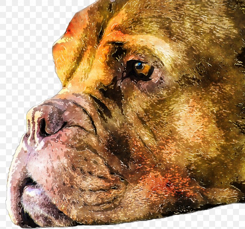 Dog Breed Boerboel Bullmastiff Lion Watercolor Painting, PNG, 1286x1204px, Dog Breed, Boerboel, Breed, Bullmastiff, Cancer Download Free
