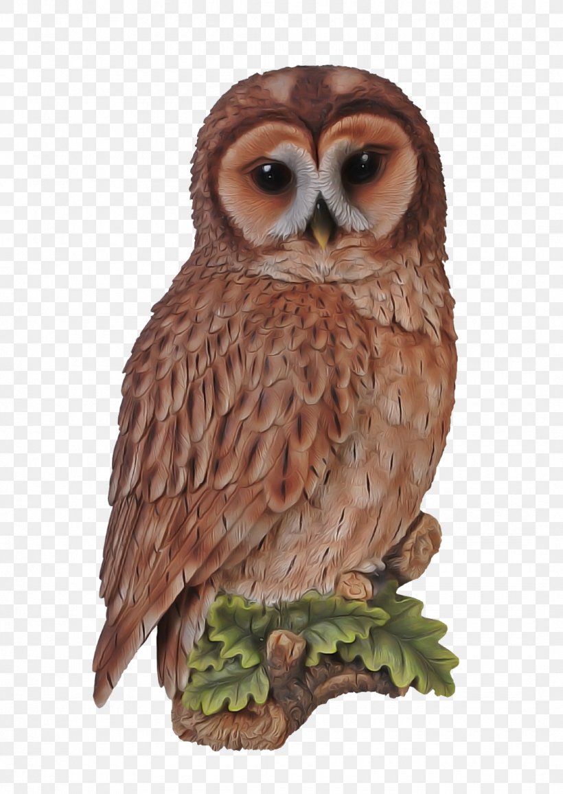 Owl Bird Bird Of Prey Great Grey Owl Barn Owl, PNG, 1080x1523px, Owl, Barn Owl, Beak, Bird, Bird Of Prey Download Free