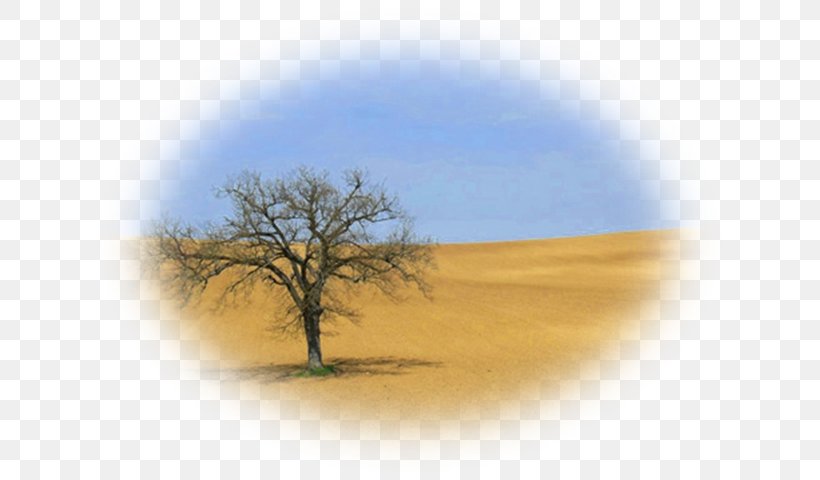 Savanna Desktop Wallpaper Ecoregion Stock Photography, PNG, 639x480px, Savanna, Aeolian Landform, Computer, Ecoregion, Ecosystem Download Free