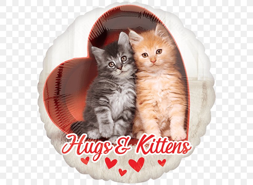 Cat Kitten Valentine's Day Balloon Felidae, PNG, 600x600px, Cat, Balloon, Carnivoran, Cat Like Mammal, Dogcat Relationship Download Free
