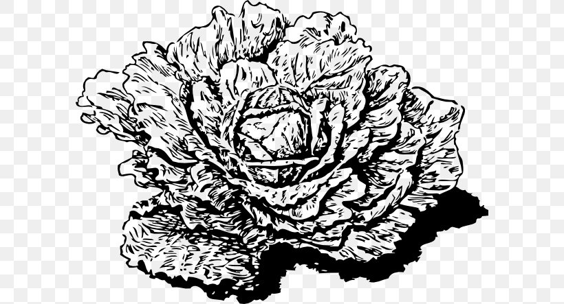 Collard Greens Cabbage Leaf Vegetable Brassica Juncea Clip Art, PNG, 600x443px, Collard Greens, Art, Artwork, Black And White, Brassica Juncea Download Free