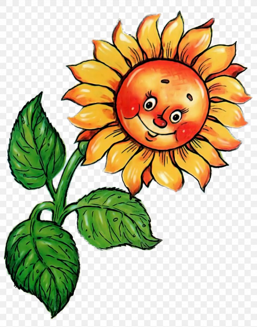 Common Sunflower Drawing Sunflower Seed Clip Art, PNG, 1800x2289px, Common Sunflower, Animaatio, Artwork, Cartoon, Cut Flowers Download Free