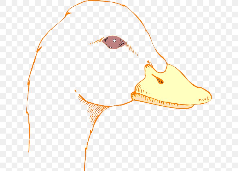 Duck Bird Mallard Drawing Clip Art, PNG, 640x589px, Watercolor, Cartoon, Flower, Frame, Heart Download Free