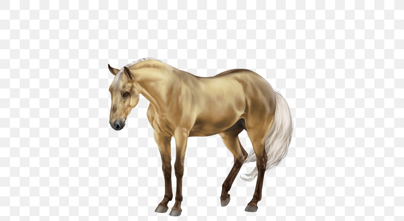 Mane Mustang Foal Stallion Colt, PNG, 600x450px, Mane, Bridle, Colt, Foal, Halter Download Free