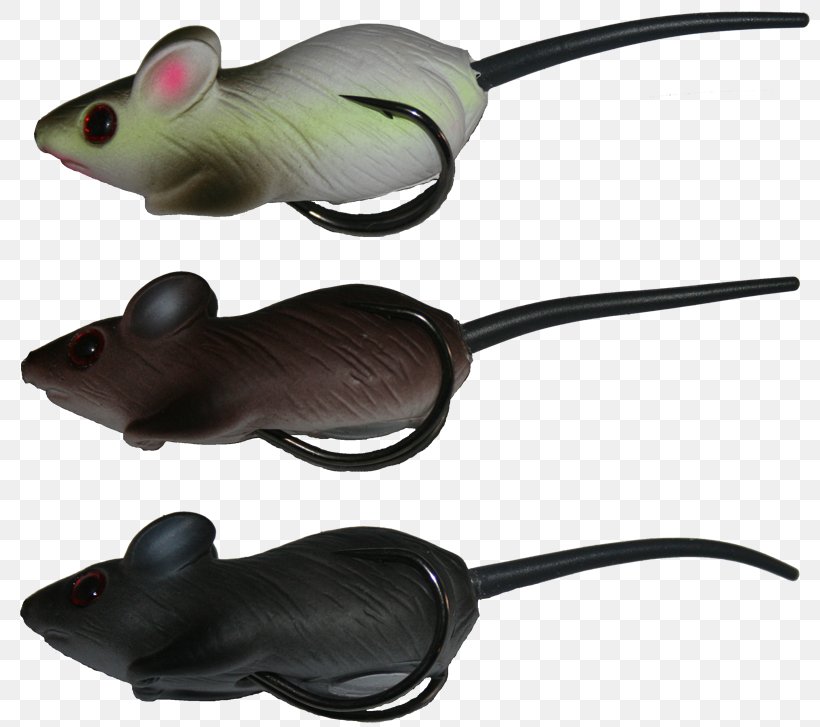 Mouse Amphibian Technology, PNG, 800x727px, Mouse, Amphibian, Muridae, Muroidea, Pest Download Free