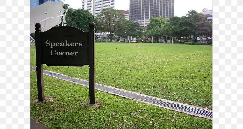 Speakers' Corner Hong Lim Park Protest Discourse, PNG, 991x529px, Protest, Advertising, Area, Discours, Discourse Download Free