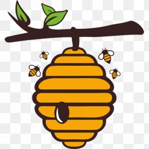 Western Honey Bee Clip Art Honeycomb Beehive, Png, 640x480px, Western 