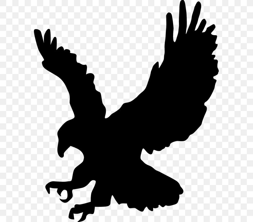 Bald Eagle Silhouette Clip Art, PNG, 599x720px, Eagle, Artwork, Bald Eagle, Beak, Bird Download Free