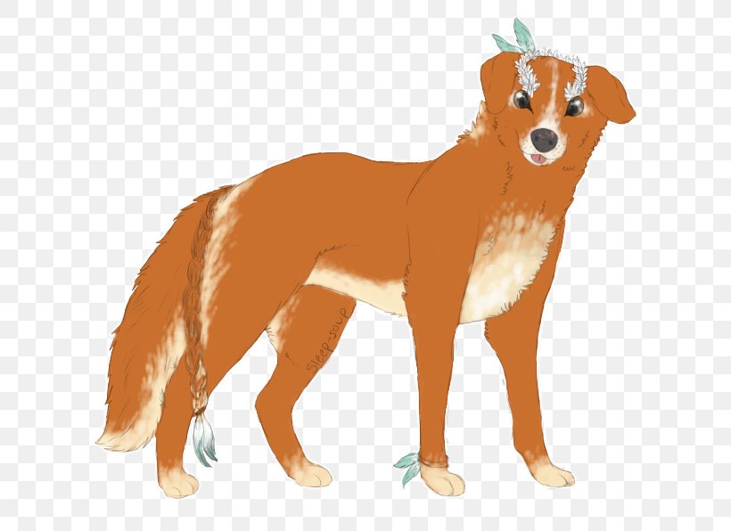 Dog Breed Nova Scotia Duck Tolling Retriever Puppy Ancient Egypt Companion Dog, PNG, 663x596px, Dog Breed, Ancient Egypt, Ancient History, Anubis, Carnivoran Download Free