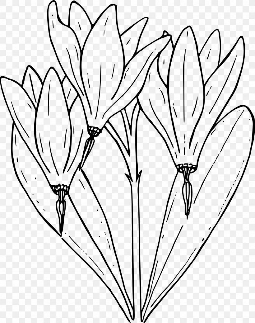 Drawing Flower Clip Art, PNG, 1896x2400px, Drawing, Area, Art, Black And White, Branch Download Free