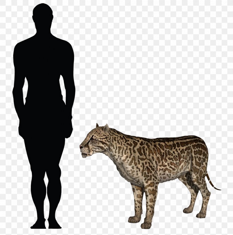 Felidae Dinosaur Bear Clip Art Leopard, PNG, 937x942px, Felidae, Animal, Bear, Big Cats, Carnivoran Download Free