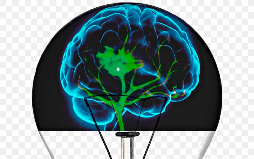 Human Brain Cognitive Training Neuroimaging Reabilitação Neurológica, PNG, 986x619px, Brain, Ampa Receptor, Cognitive Training, Consciousness, Electric Blue Download Free